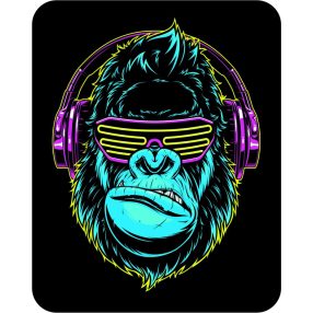 Rendszám matrica rollerre (#11)