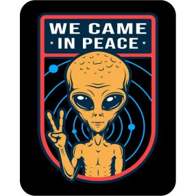 Rendszám matrica rollerre (#14)