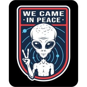 Rendszám matrica rollerre (#15)